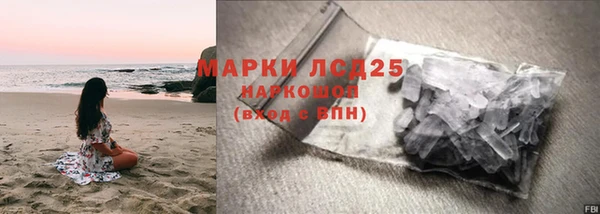 индика Снежногорск