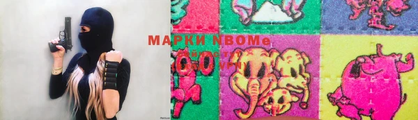 прущие грибы Алексеевка