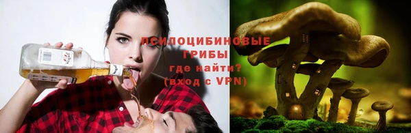 МДПВ Алексин