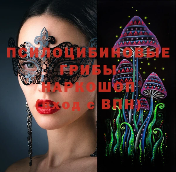 МДПВ Алексин