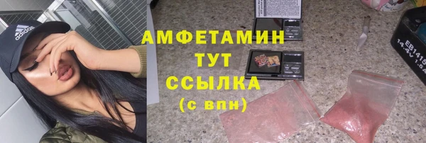молекула духа Семилуки