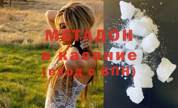 прущие грибы Алексеевка