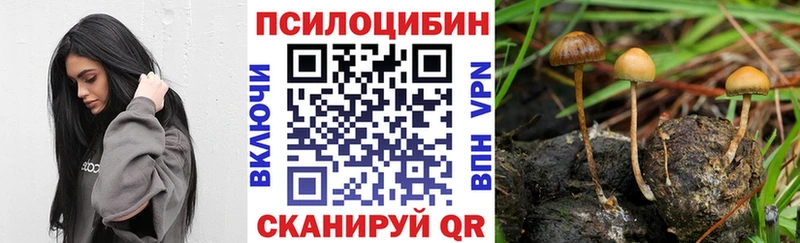 Псилоцибиновые грибы GOLDEN TEACHER Карачаевск