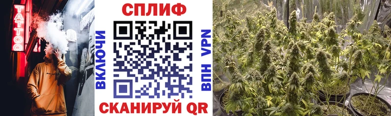 Бошки марихуана Bruce Banner  Карачаевск 